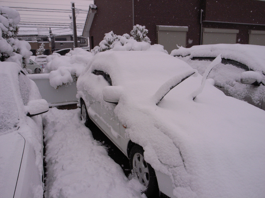 雪で埋まった車